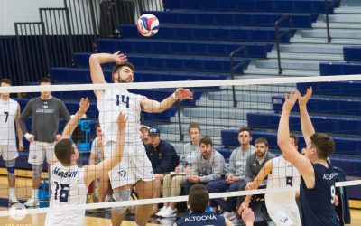 Messiah Sports Weekly Update